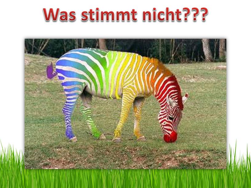 Was stimmt nicht???