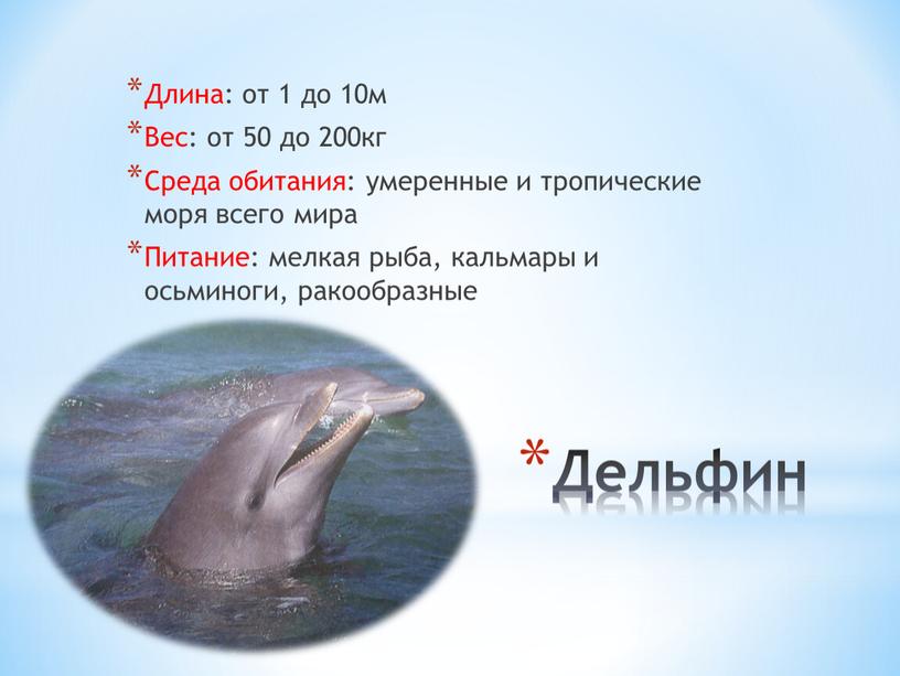 Дельфин Длина: от 1 до 10м Вес: от 50 до 200кг