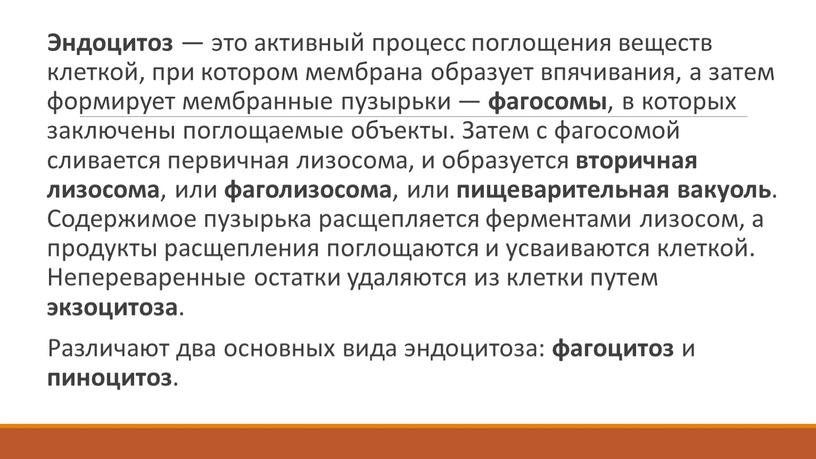 Эндоцитоз — это активный процесс поглощения веществ клеткой, при котором мембрана образует впячивания, а затем формирует мембранные пузырьки — фагосомы , в которых заключены поглощаемые…