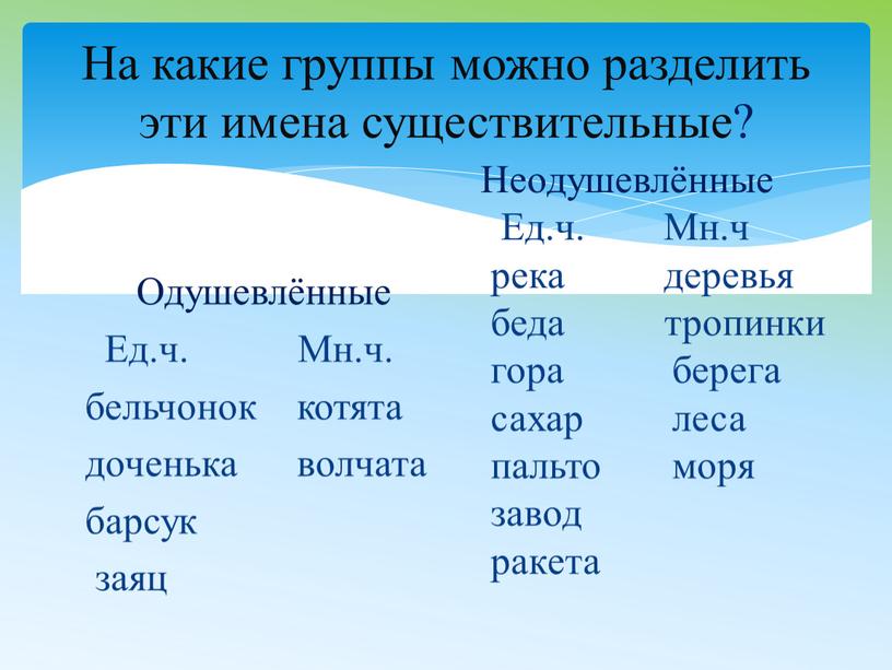 На какие группы можно разделить эти имена существительные?