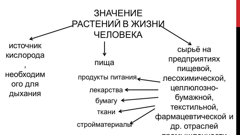 ЗНАЧЕНИЕ РАСТЕНИЙ В ЖИЗНИ ЧЕЛОВЕКА источник кислорода, необходимого для дыхания пища сырьё на предприятиях пищевой, лесохимической, целлюлозно-бумажной, текстильной, фармацевтической и др