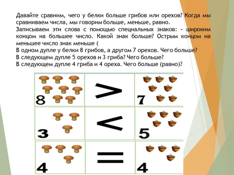 Давайте сравним, чего у белки больше грибов или орехов?