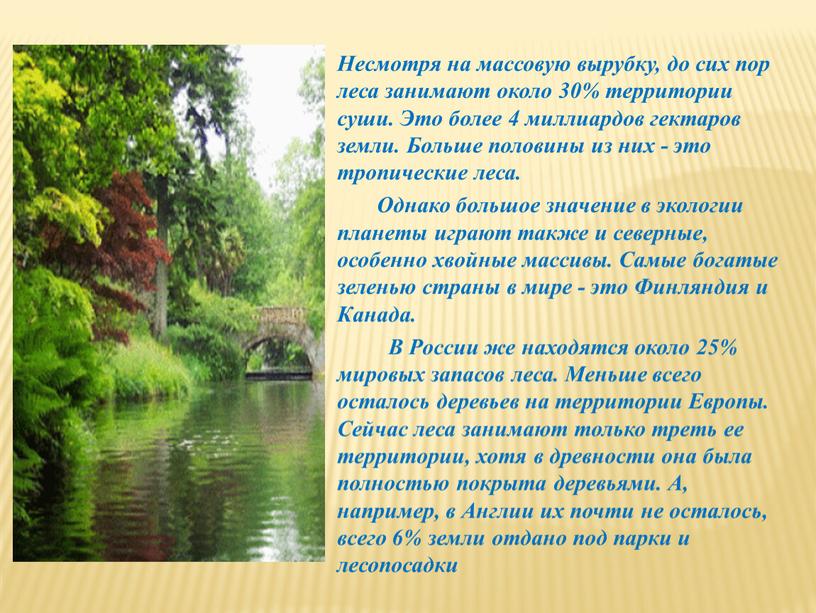 Несмотря на массовую вырубку, до сих пор леса занимают около 30% территории суши