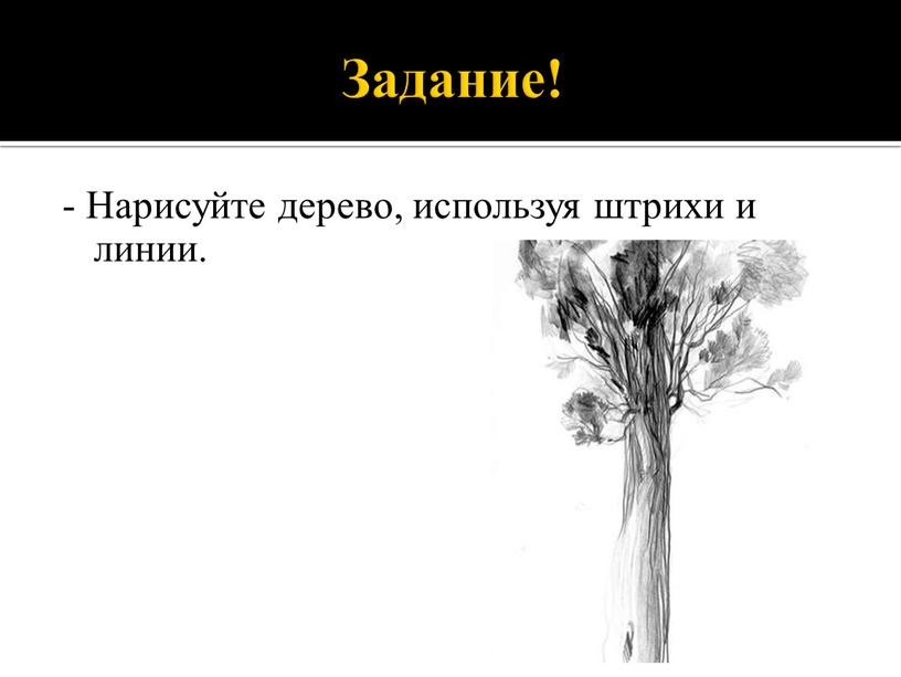 Задание! - Нарисуйте дерево, используя штрихи и линии