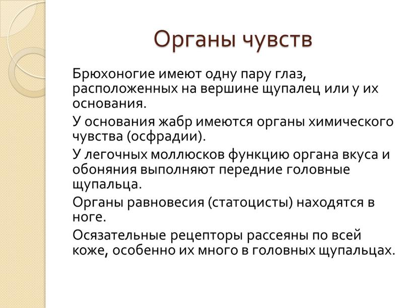 Органы чувств Брюхоногие имеют одну пару глаз, расположенных на вершине щупалец или у их основания