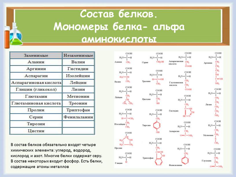 Состав белков. Мономеры белка- альфа аминокислоты