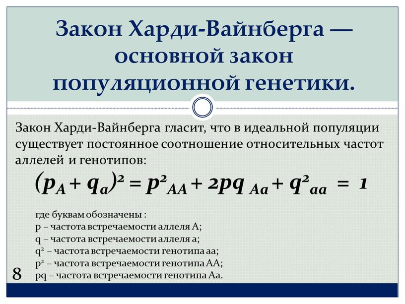 Закон Харди-Вайнберга ― основной закон популяционной генетики