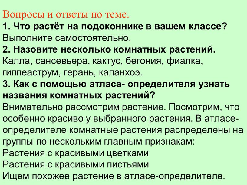 Вопросы и ответы по теме. 1. Что растёт на подоконнике в вашем классе?