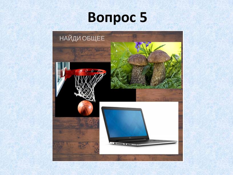 Вопрос 5