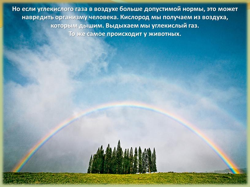 Но если углекислого газа в воздухе больше допустимой нормы, это может навредить организму человека