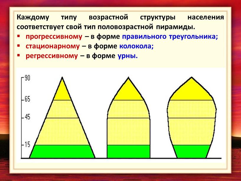 Каждому типу возрастной структуры населения соответствует свой тип половозрастной пирамиды
