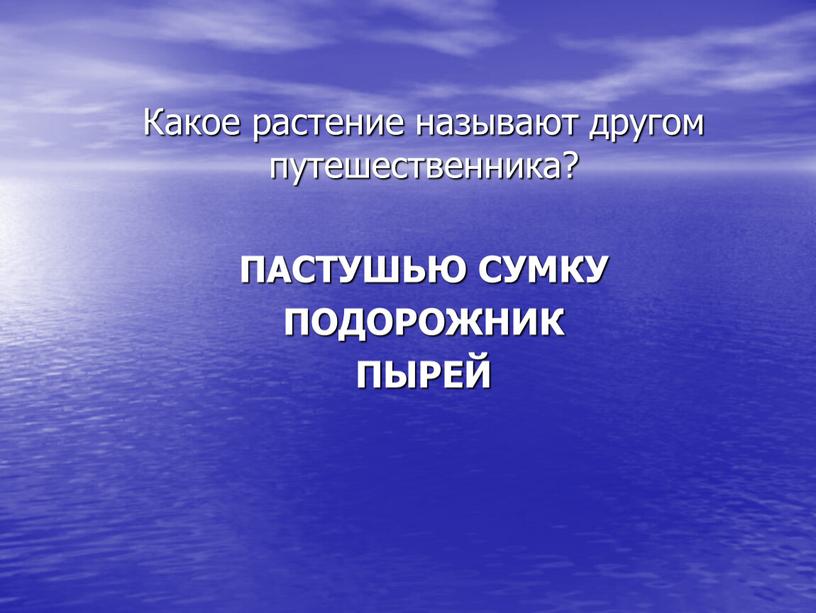 Какое растение называют другом путешественника?