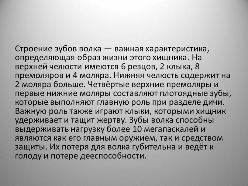 Строение зубов волка — важная характеристика, определяющая образ жизни этого хищника