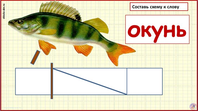 Составь схему к слову окунь