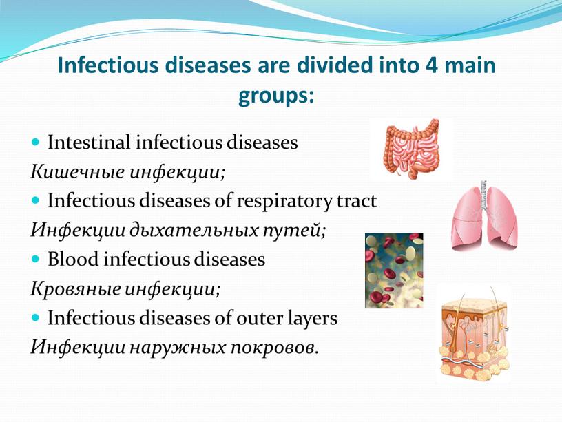 Infectious diseases are divided into 4 main groups: