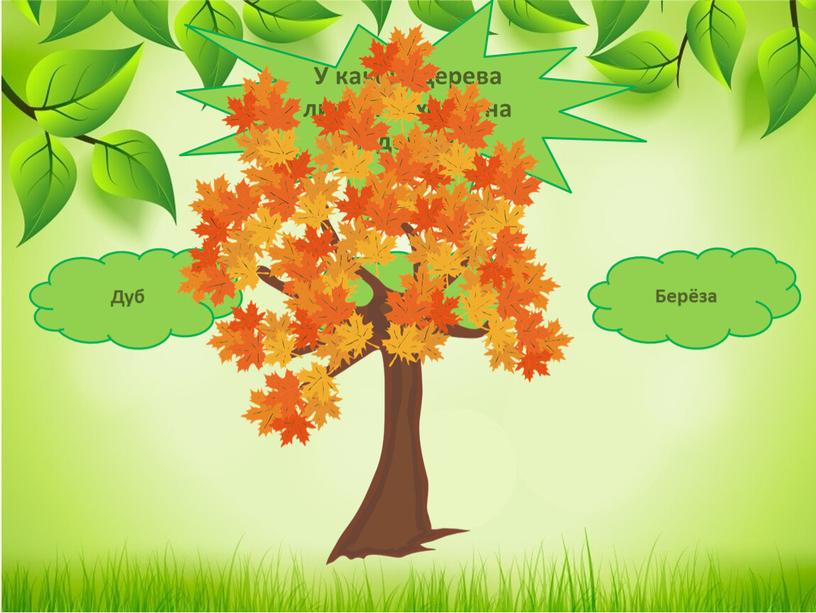 У какого дерева листья похожи на ладошки?