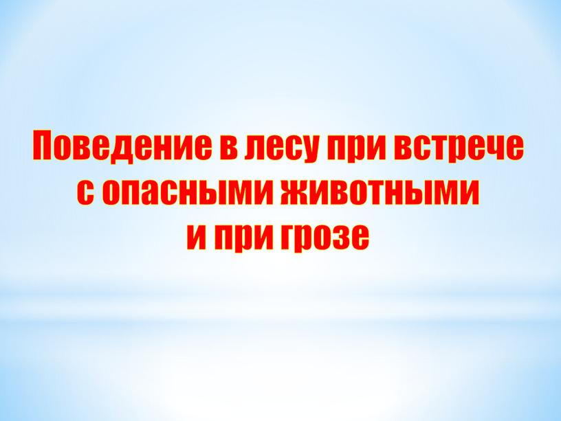 Поведение в лесу при встрече с опасными животными и при грозе