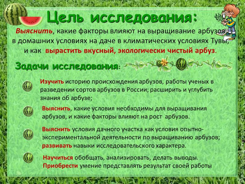 Цель исследования: Выяснить , какие факторы влияют на выращивание арбузов в домашних условиях на даче в климатических условиях