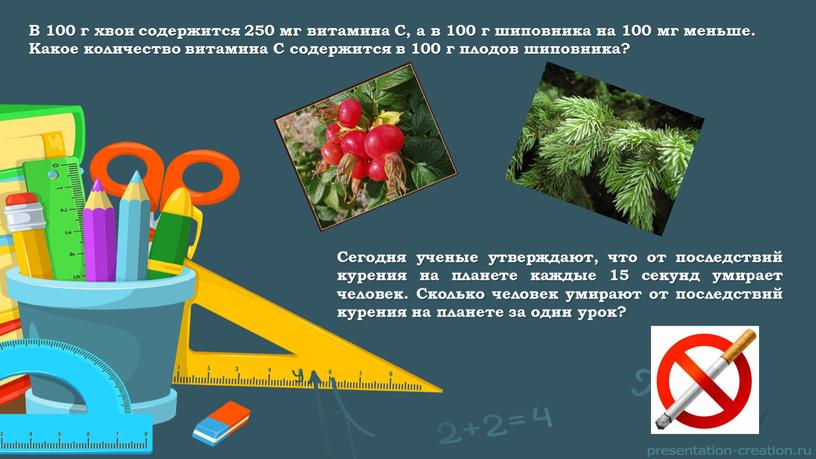 В 100 г хвои содержится 250 мг витамина