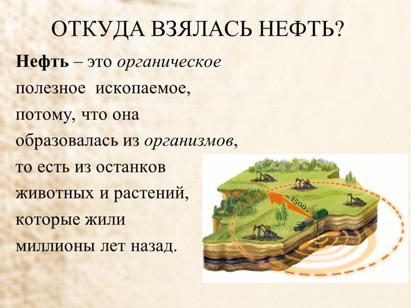 ОТКУДА ВЗЯЛАСЬ НЕФТЬ? Нефть – это органическое полезное ископаемое, потому, что она образовалась из организмов , то есть из останков животных и растений, которые жили…