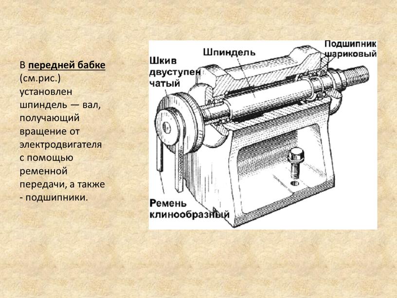 В передней бабке (см.рис.) установлен шпиндель — вал, получающий вращение от электродвигателя с помощью ременной передачи, а также - подшипники