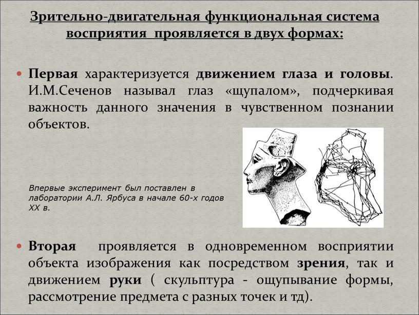 Зрительно-двигательная функциональная система восприятия проявляется в двух формах: