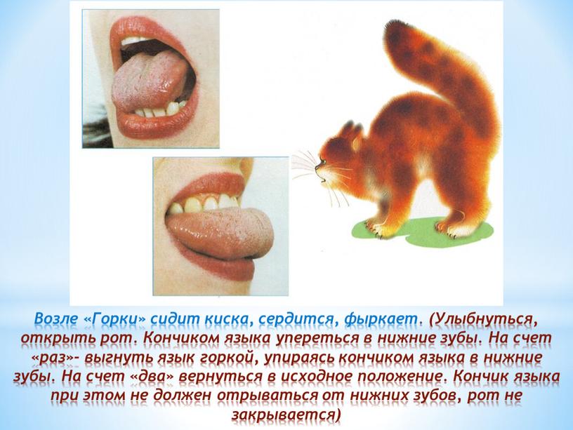 Возле «Горки» сидит киска, сердится, фыркает