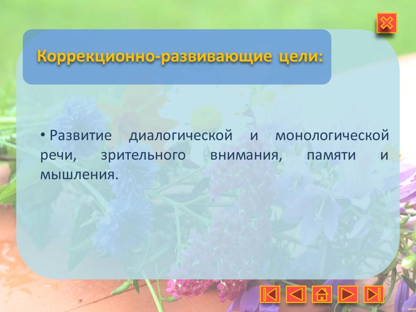 Коррекционно-развивающие цели: