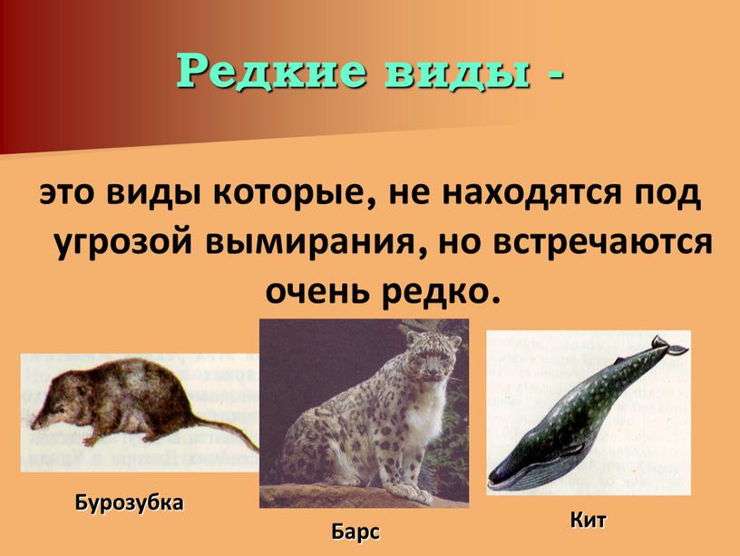 Редкие виды - это виды которые, не находятся под угрозой вымирания, но встречаются очень редко