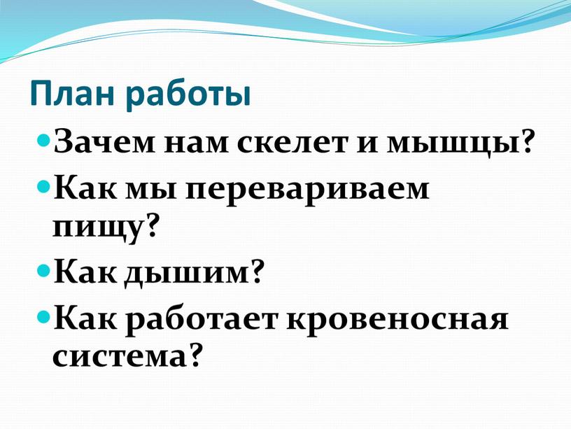 План работы Зачем нам скелет и мышцы?