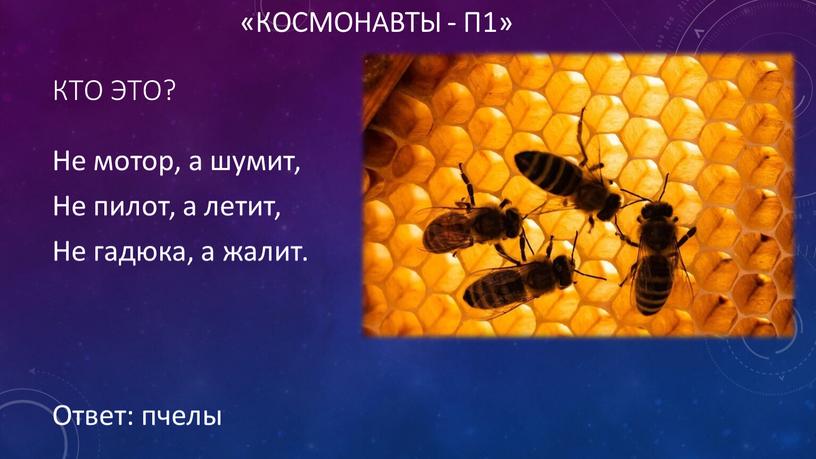 Кто это? Ответ: пчелы Не мотор, а шумит,