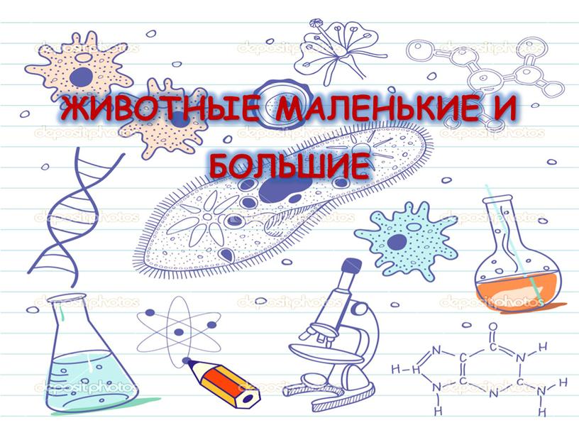 ЖИВОТНЫЕ МАЛЕНЬКИЕ И БОЛЬШИЕ