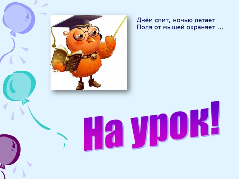 На урок! Днём спит, ночью летает