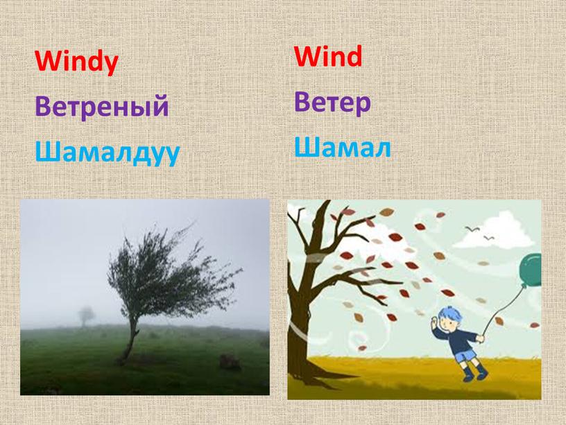 Windy Ветреный Шамалдуу Wind