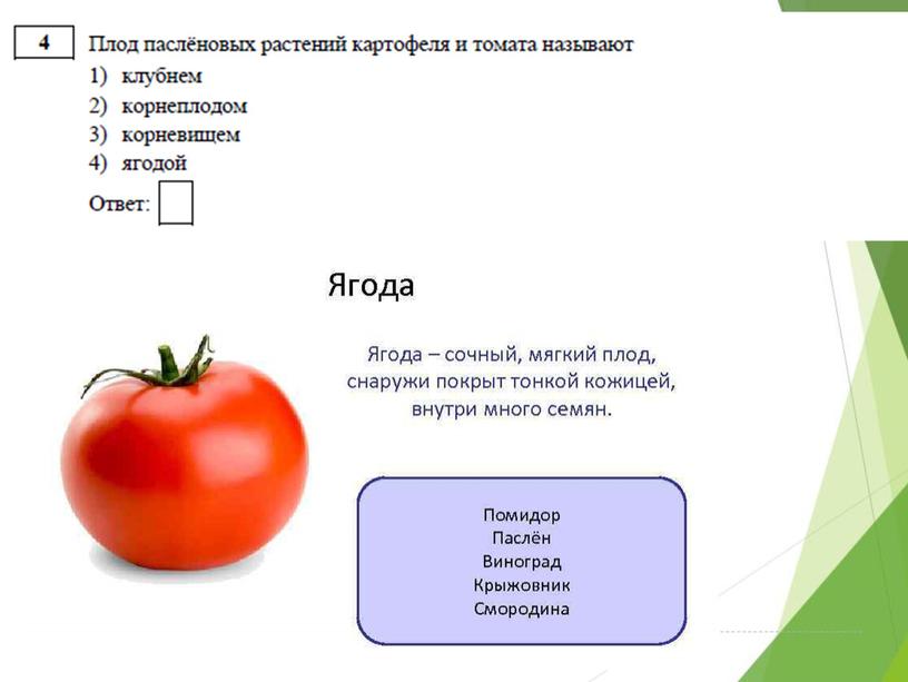 Разбор дэмо-версии по биологии 2019