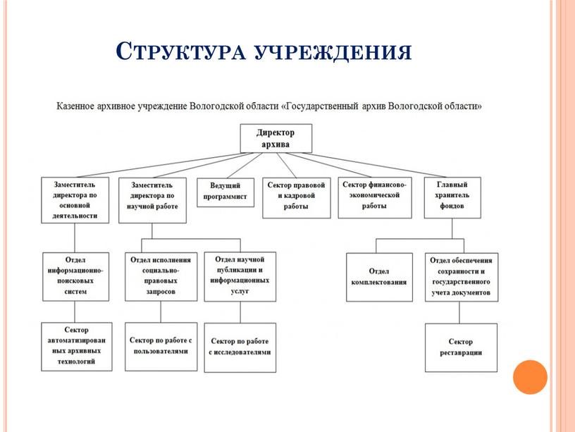 Структура учреждения