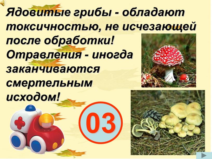 Ядовитые грибы - обладают токсичностью, не исчезающей после обработки!