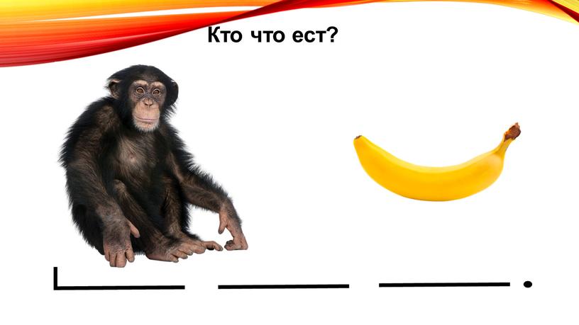 Кто что ест?