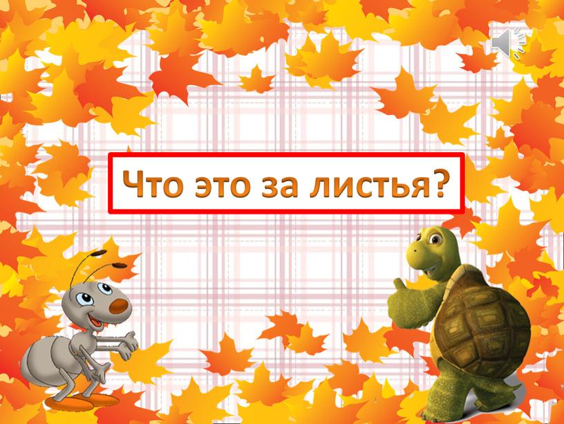 Что это за листья?