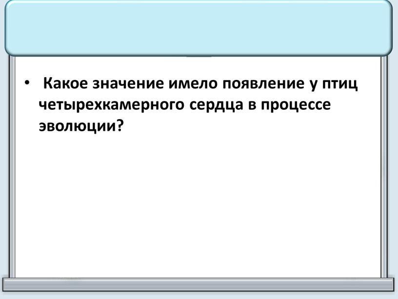 Какое значение имело появление у птиц четырехкамерного сердца в процессе эволюции?