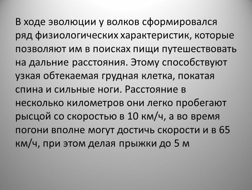 В ходе эволюции у волков сформировался ряд физиологических характеристик, которые позволяют им в поисках пищи путешествовать на дальние расстояния