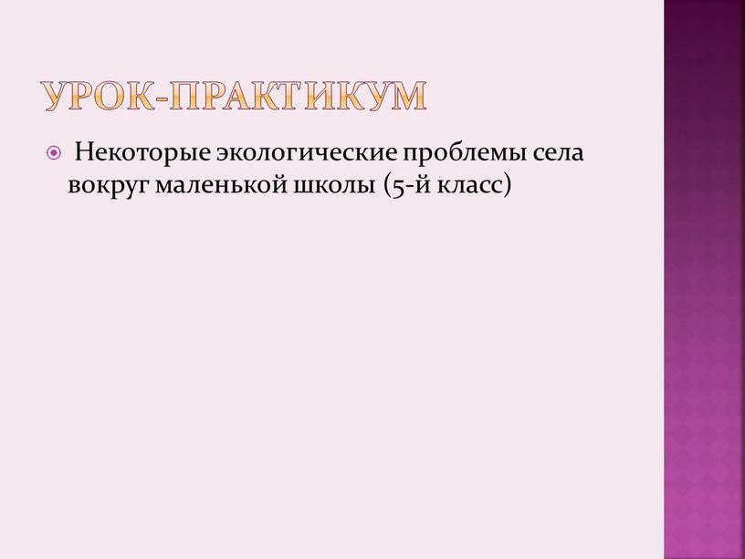 Урок-практикум Некоторые экологические проблемы села вокруг маленькой школы (5-й класс)