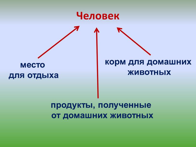 Человек место для отдыха корм для домашних животных продукты, полученные от домашних животных