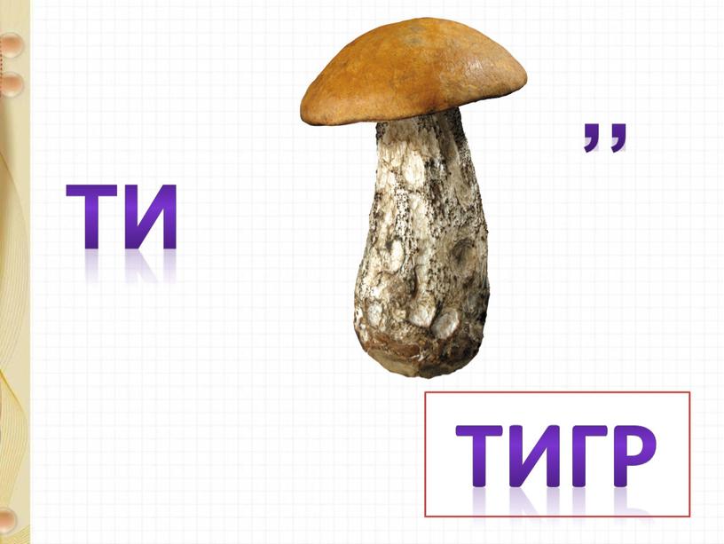 Ти ,, Тигр