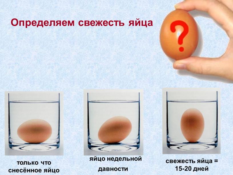 яйцо недельной давности свежесть яйца = 15-20 дней только что снесённое яйцо Определяем свежесть яйца