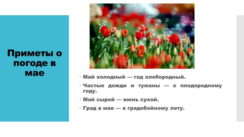 Приметы о погоде в мае Май холодный — год хлебородный