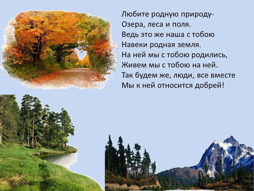 Любите родную природу- Озера, леса и поля