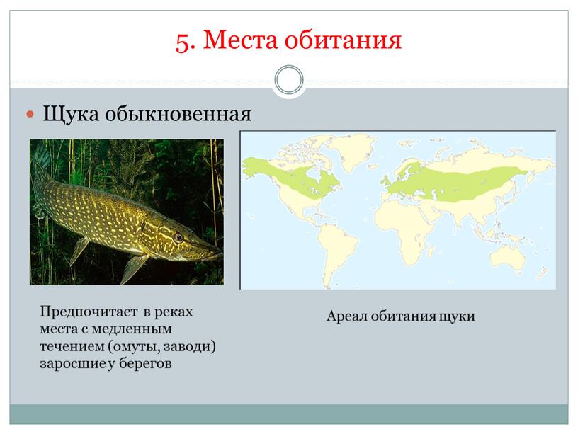 Места обитания Щука обыкновенная