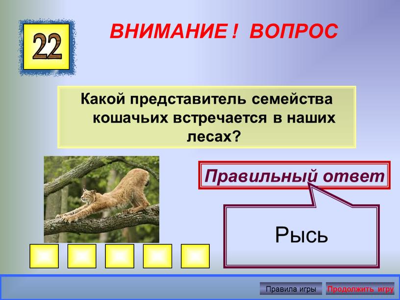 ВНИМАНИЕ ! ВОПРОС Какой представитель семейства кошачьих встречается в наших лесах? 22