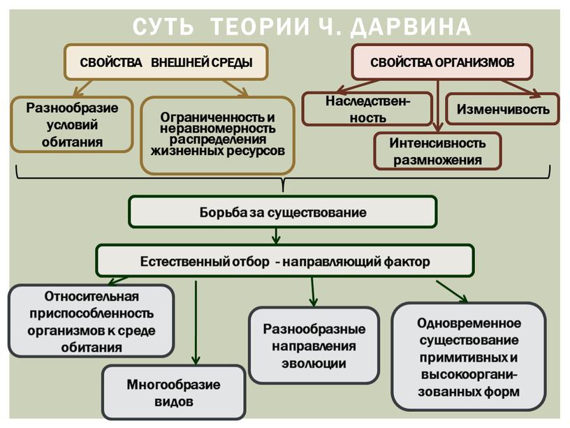 Суть теории Ч. Дарвина СВОЙСТВА